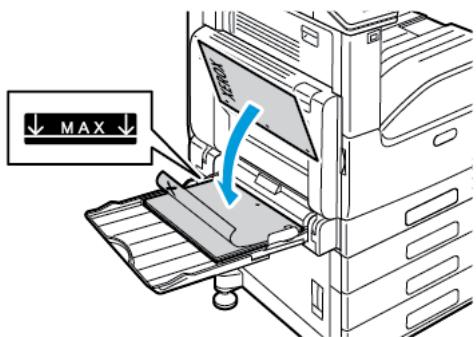 XEROX VERSALINK C7000N - Placez le papier dans le magasin. - 1