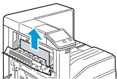 XEROX VERSALINK C7000N - Résolution des incidents papier au niveau de la porte b - 12