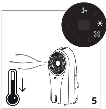DELONGHI EV250.BK - Refroidissement/Humidification - 2