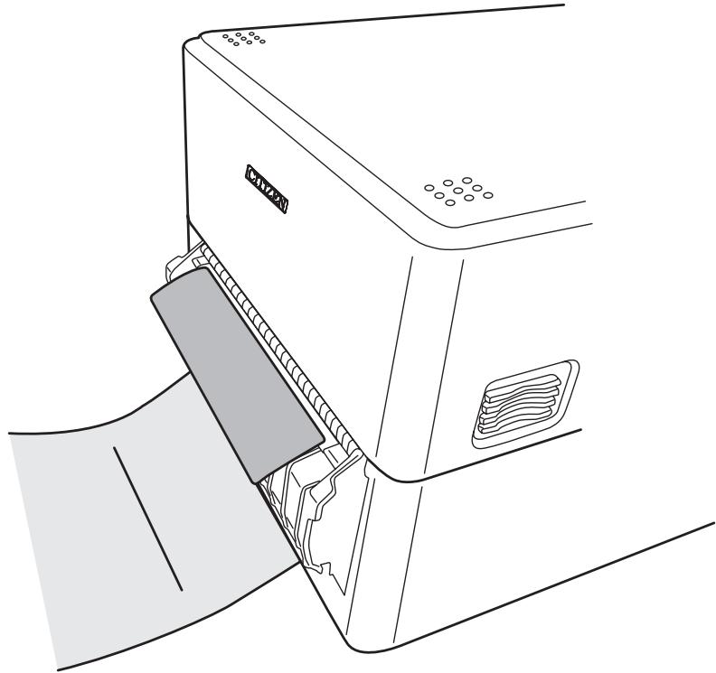CITIZEN CL-E300 - Close the peeler cover. - 1