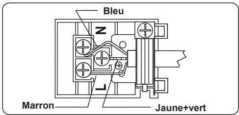 CONTINENTAL EDISON CEF77PIX - AVERTISSEMENT : L'APPAREIL DOIT ÊTRE BRANCHÉ À LA TERRE. - 1
