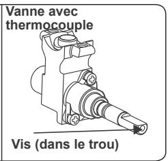 CONTINENTAL EDISON CP9060MCR - Réglage de la position minimale de la flamme : - 2