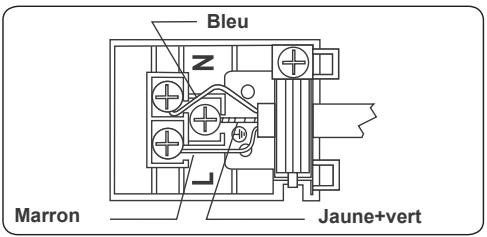 CONTINENTAL EDISON CP9060MCR - AVERTISSEMENT:L'APPAREIL DOIT ETRE BRANCHÉ À LA TERRE. - 1