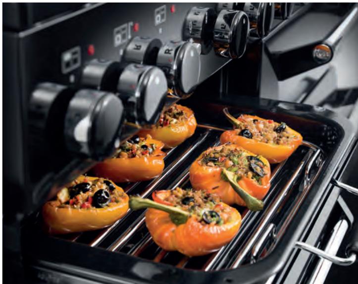 AGA LIVING MASTERCHEF DELUXE 90 DUAL FUEL - Données d'efficacité du réchaud - 4