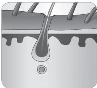 BABYLISS G935E - Hair growth cycle - 6