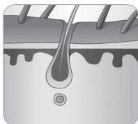 BABYLISS G935E - Forsiktighetsatgärder - 4