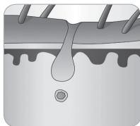 BABYLISS G935E - 2.2.Cykl wzrostu wlosa - 7