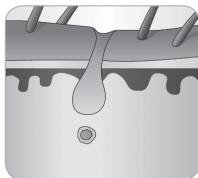 BABYLISS G935E - Häretsvekstsyklus - 4