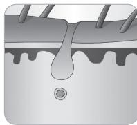 BABYLISS G935E - Hair growth cycle - 7