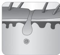 BABYLISS G935E - Der Wachstumszyklus des Haars - 7