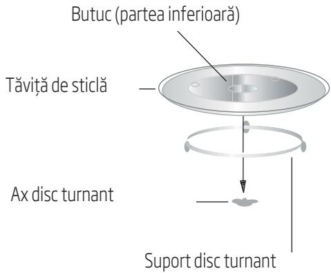 Butuc (partea inferioară) Tăviță de sticlă Ax disc turnant Suport disc turnant