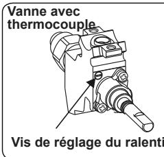 CONTINENTAL EDISON CECDF5060B2 - CECDF5060IX2 - Réglage de la position minimale de la flamme : - 1