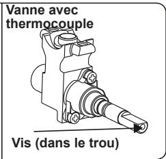 CONTINENTAL EDISON CECDF5060B2 - CECDF5060IX2 - Réglage de la position minimale de la flamme : - 2