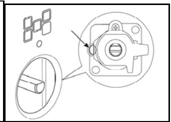 BERTAZZONI PRO95I2T - Réglage de la flamme minimum des brûleurs : - 4
