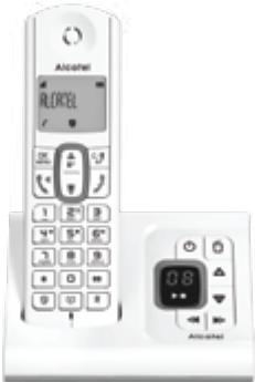 ALCATEL F670 VOICE - 1