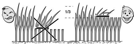 ALPINA AL3 46 SB - 52