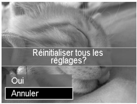 ROLLEI POWERFLEX 210 HD - Réinitialisation tout - 1