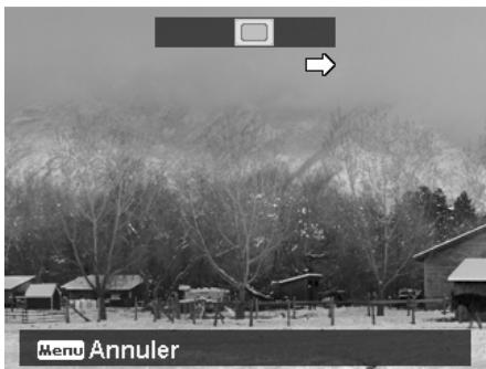 ROLLEI POWERFLEX 210 HD - Pour agrafier la photo - 3