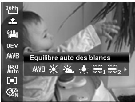 ROLLEI POWERFLEX 210 HD - Équilibre des blancs - 1