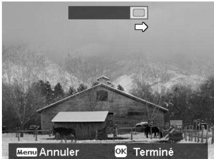 ROLLEI POWERFLEX 210 HD - Pour agrafier la photo - 5