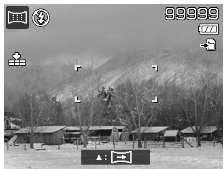 ROLLEI POWERFLEX 210 HD - Pour agrafier la photo - 1
