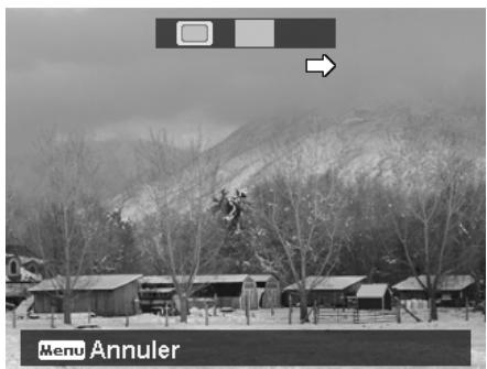 ROLLEI POWERFLEX 210 HD - Pour agrafier la photo - 2