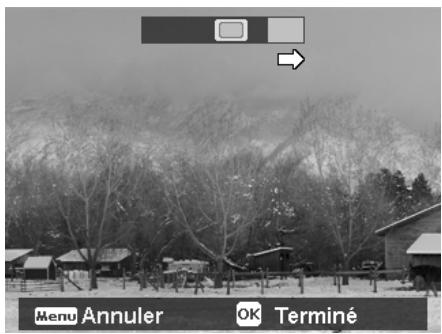 ROLLEI POWERFLEX 210 HD - Pour agrafier la photo - 4