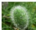 ORDISSIMO LE NUMERO 2 - Album "Ordissimo" (44 photos) - 33