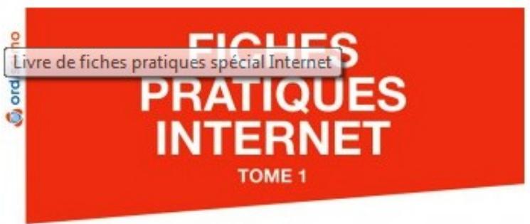 ORDISSIMO LE NUMERO 2 - FICHES PRATIQUES INTERNET TOME 1 : Les Sites internet Incontournables - 1