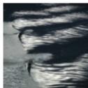 ORDISSIMO LE NUMERO 2 - Album "Ordissimo" (44 photos) - 18
