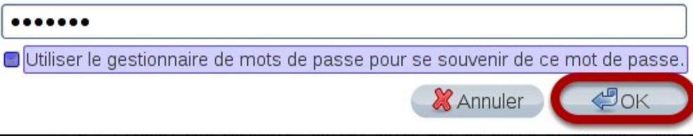 ORDISSIMO LE NUMERO 2 - Validation mot de passer - 2