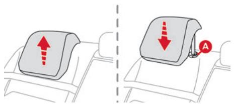CITROEN C5X - Appuis-tête arrière - 1
