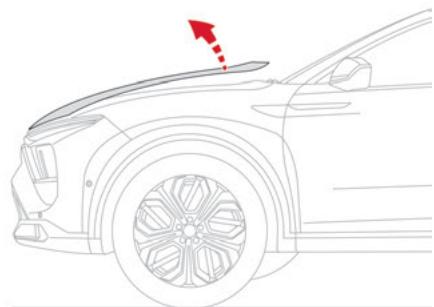 CITROEN C5X - Capot actif - 1