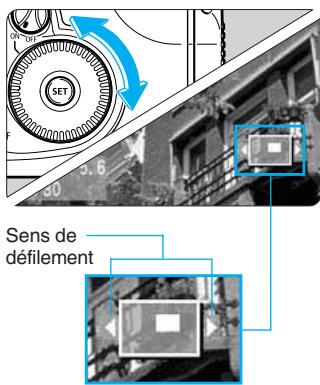 CANON EOS 10D - Agrandissez l'image. - 4