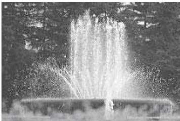 CANON EOS 10D - Tv Exposition automatique avec priorité à l'obturation - 1