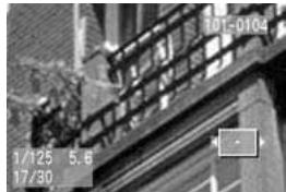 CANON EOS 10D - Agrandissez l'image. - 3