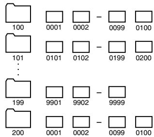 CANON EOS 10D - Numérodesfichiertdossiers - 1