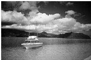 CANON EOS 10D - Paysage - 1