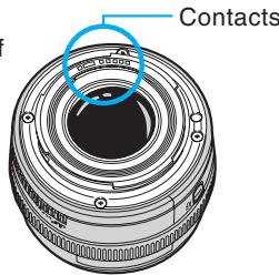 CANON EOS 10D - Contacts électriques de l'objectif - 1