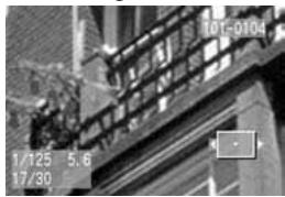 CANON EOS 10D - Lecture des images - 4