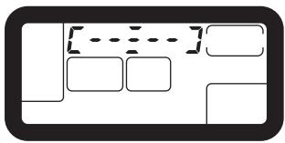 CANON EOS 10D - Sélection automatique - 2