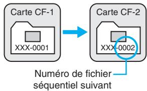 CANON EOS 10D - Numérotation continue - 1