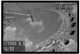 CANON EOS 10D - Lecture des images - 1