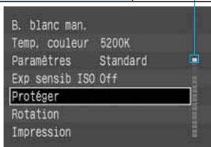 CANON EOS 10D - Menu Lecture - 1