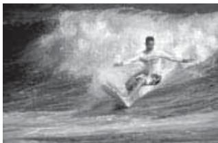 CANON EOS 10D - Sports - 1