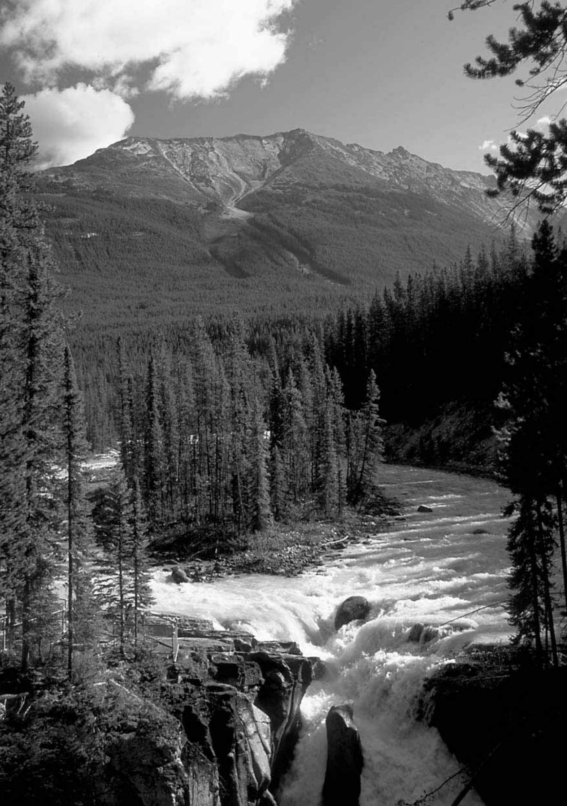 CANON EOS 10D - 2 - 2