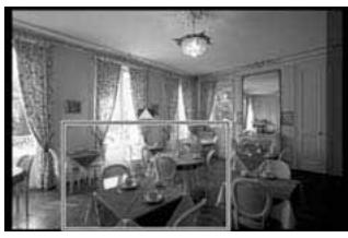 CANON EOS 10D - Rognez I'image. - 1