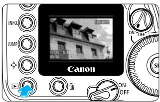 CANON EOS 10D - Image unique - 1