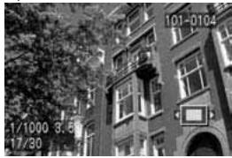 CANON EOS 10D - Agrandissez l'image. - 1