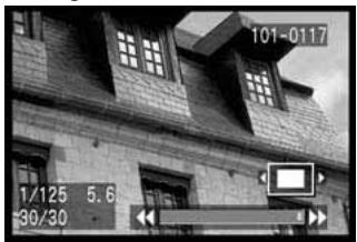 CANON EOS 10D - JUMP Saut d'images - 3